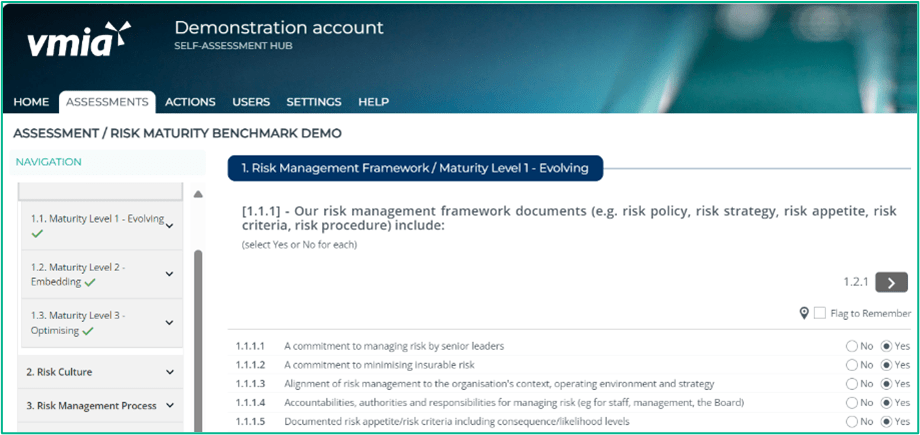 Risk Maturity Benchmark – client user guide - illustration 03