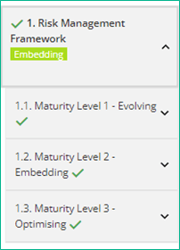 Risk Maturity Benchmark – client user guide - illustration 19