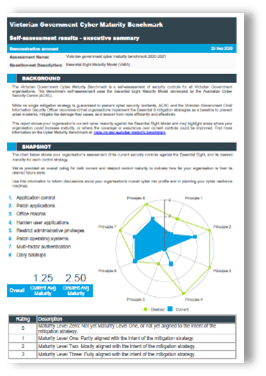 Victorian Government Cyber Maturity Benchmark - Interpreting your results - illustration 01