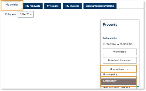How do I cancel an existing policy online - illustration 01