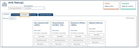 How do I view and update privacy details on an existing claim online - illustration 01